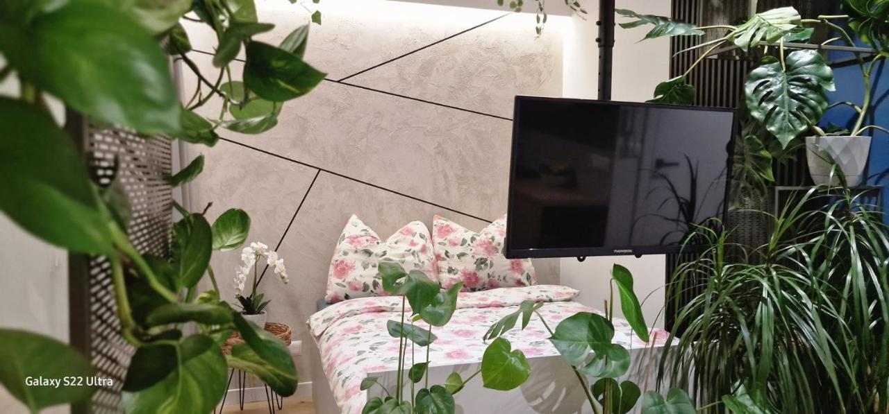 Magic House Apartament Proszowska 58 II Bochnia Luaran gambar