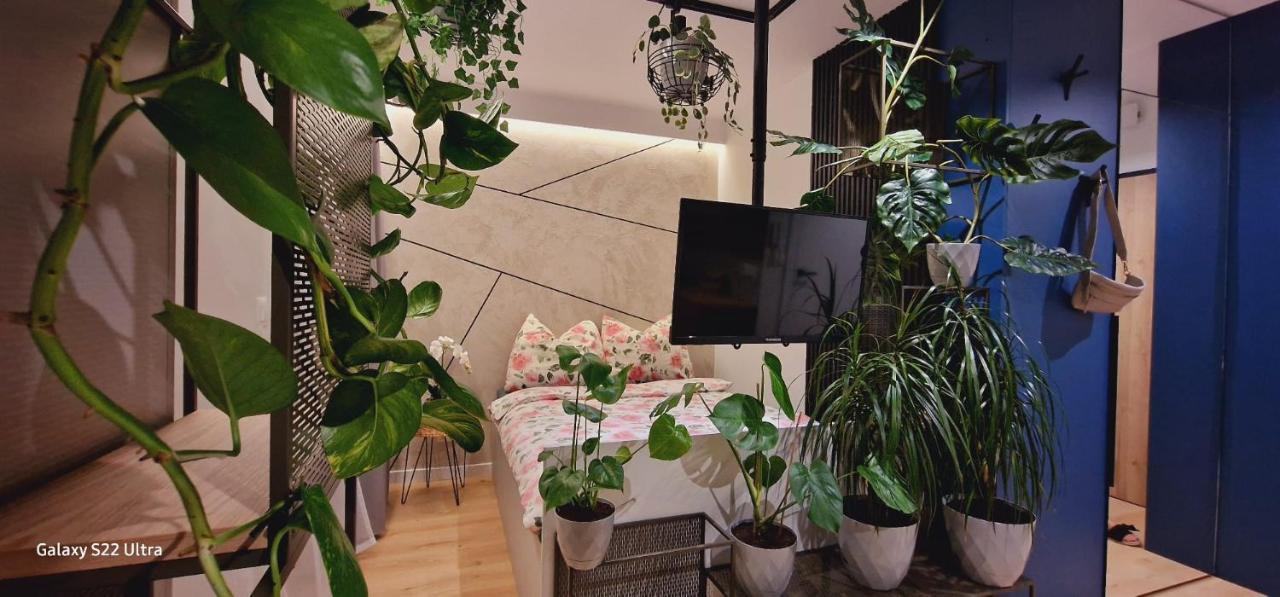 Magic House Apartament Proszowska 58 II Bochnia Luaran gambar